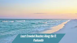 Read more about the article Least Crowded Beaches in the Florida Panhandle: 5 Beaches of Secluded Relaxation