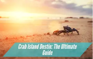 Read more about the article Crab Island Destin: The Ultimate Guide
