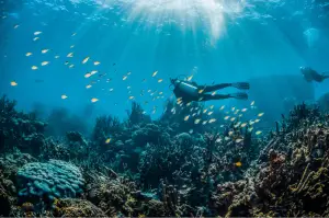 Read more about the article Dive Deeper: Discover Panama City, FL’s Snorkeling Hotspots