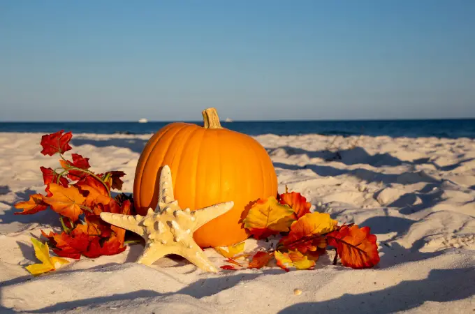You are currently viewing Spooky Sands: Destin FL Trick or Treat Times and Events