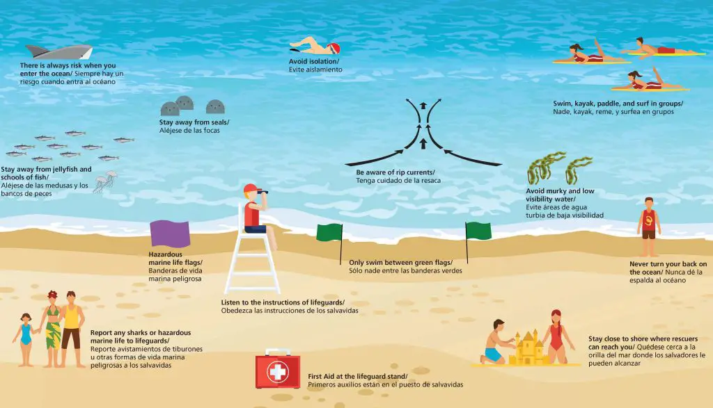 ocean-safety-swimming-infographic